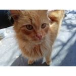 Zdjęcia użytkowników Realme 8 Zdjęcia użytkowników Realme 8