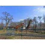 Zdjęcia użytkowników Realme 8 Zdjęcia użytkowników Realme 8