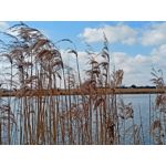 Zdjęcia użytkowników Realme 8 Zdjęcia użytkowników Realme 8