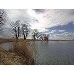 Zdjęcia użytkowników Realme 8 Zdjęcia użytkowników Realme 8