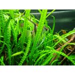 Zdjęcia użytkowników Realme 8 Zdjęcia użytkowników Realme 8