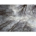 Zdjęcia użytkowników Realme 8 Zdjęcia użytkowników Realme 8