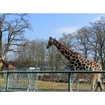 Zdjęcia użytkowników Realme 8 Zdjęcia użytkowników Realme 8