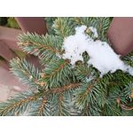 Zdjęcia użytkowników Realme 8 Zdjęcia użytkowników Realme 8