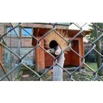 Zdjęcia użytkowników Realme 8 Zdjęcia użytkowników Realme 8