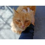 Zdjęcia użytkowników Realme 8 Zdjęcia użytkowników Realme 8