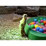 Zdjęcia użytkowników Realme 8 Zdjęcia użytkowników Realme 8