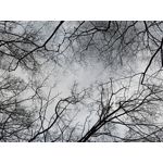 Zdjęcia użytkowników Realme 8 Zdjęcia użytkowników Realme 8