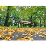 Zdjęcia użytkowników Realme 8i