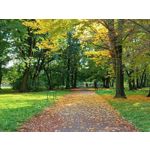 Zdjęcia użytkowników Realme 8i