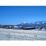 Zdjęcia użytkowników Realme 9 Pro+