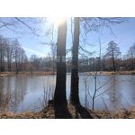 Zdjęcia użytkowników Realme 9 Pro+