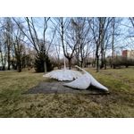 Zdjęcia użytkowników Realme 9 Pro+