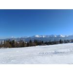 Zdjęcia użytkowników Realme 9 Pro+