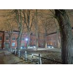 Zdjęcia użytkowników Realme 9 Pro+