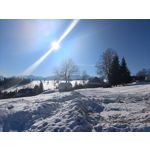 Zdjęcia użytkowników Realme 9 Pro+