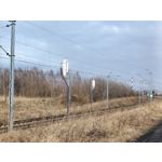 Zdjęcia użytkowników Realme 9 Pro+