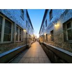 Zdjęcia użytkowników Realme 9 Pro+