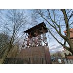 Zdjęcia użytkowników Realme 9 Pro+