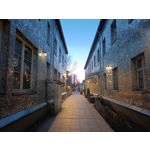 Zdjęcia użytkowników Realme 9 Pro+