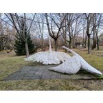 Zdjęcia użytkowników Realme 9 Pro+