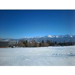 Zdjęcia użytkowników Realme 9 Pro+