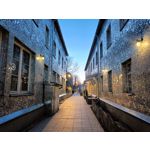 Zdjęcia użytkowników Realme 9 Pro+