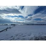 Zdjęcia użytkowników Realme 9 Pro+