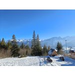 Zdjęcia użytkowników Realme 9 Pro+