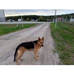 Zdjęcia użytkowników Realme 9 Pro+