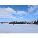 Zdjęcia użytkowników Realme 9 Pro+