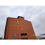 Zdjęcia użytkowników Realme 9 Pro+