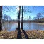 Zdjęcia użytkowników Realme 9 Pro+