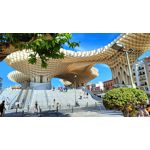 Zdjęcia użytkowników Realme 9 Pro+