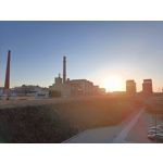 Zdjęcia użytkowników Realme 9 Pro+