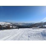 Zdjęcia użytkowników Realme 9 Pro+