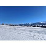 Zdjęcia użytkowników Realme 9 Pro+