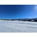 Zdjęcia użytkowników Realme 9 Pro+