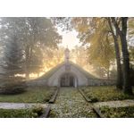 Zdjęcia użytkowników Realme 9 Pro+