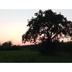 Zdjęcia użytkowników Realme C11