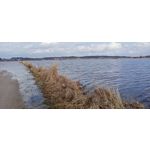 Zdjęcia użytkowników Realme C3 RMX2020 Zdjęcia użytkowników Realme C3 RMX2020