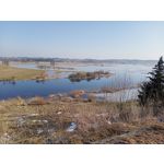 ZDJĘCIA Z TEGO TELEFONU