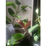 ZDJĘCIA Z TEGO TELEFONU