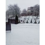 ZDJĘCIA Z TEGO TELEFONU