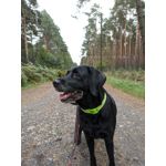 ZDJĘCIA Z TEGO TELEFONU