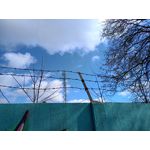 Zdjęcia użytkowników Realme C55