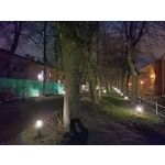 Zdjęcia użytkowników Realme C55