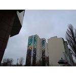 Zdjęcia użytkowników Realme C55