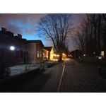 Zdjęcia użytkowników Realme C55