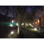 Zdjęcia użytkowników Realme C55